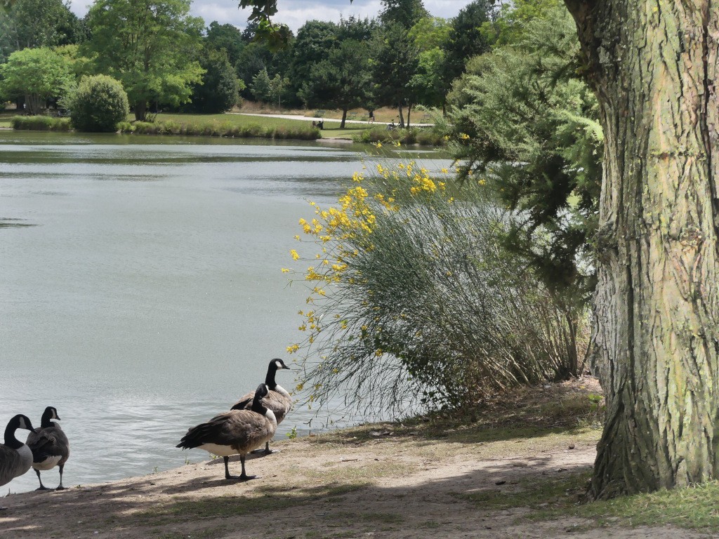 Vue du lac