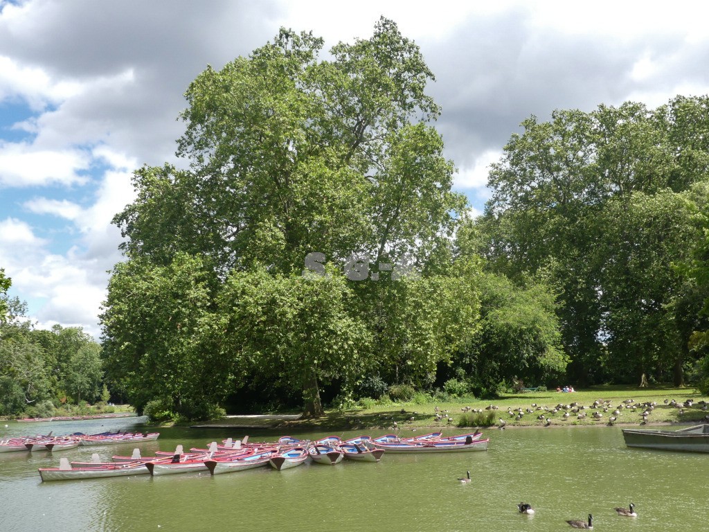 Lac de Vincennes