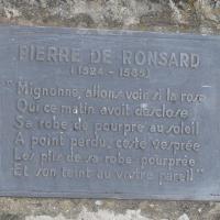 Ronsard