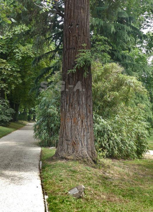 une allée